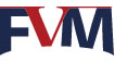 FVM logo